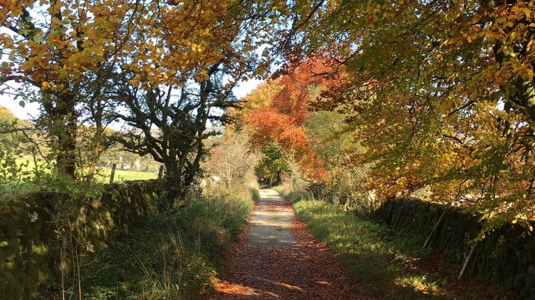 Autumn colours at Malham Tarn Estate Yorkshire Dales